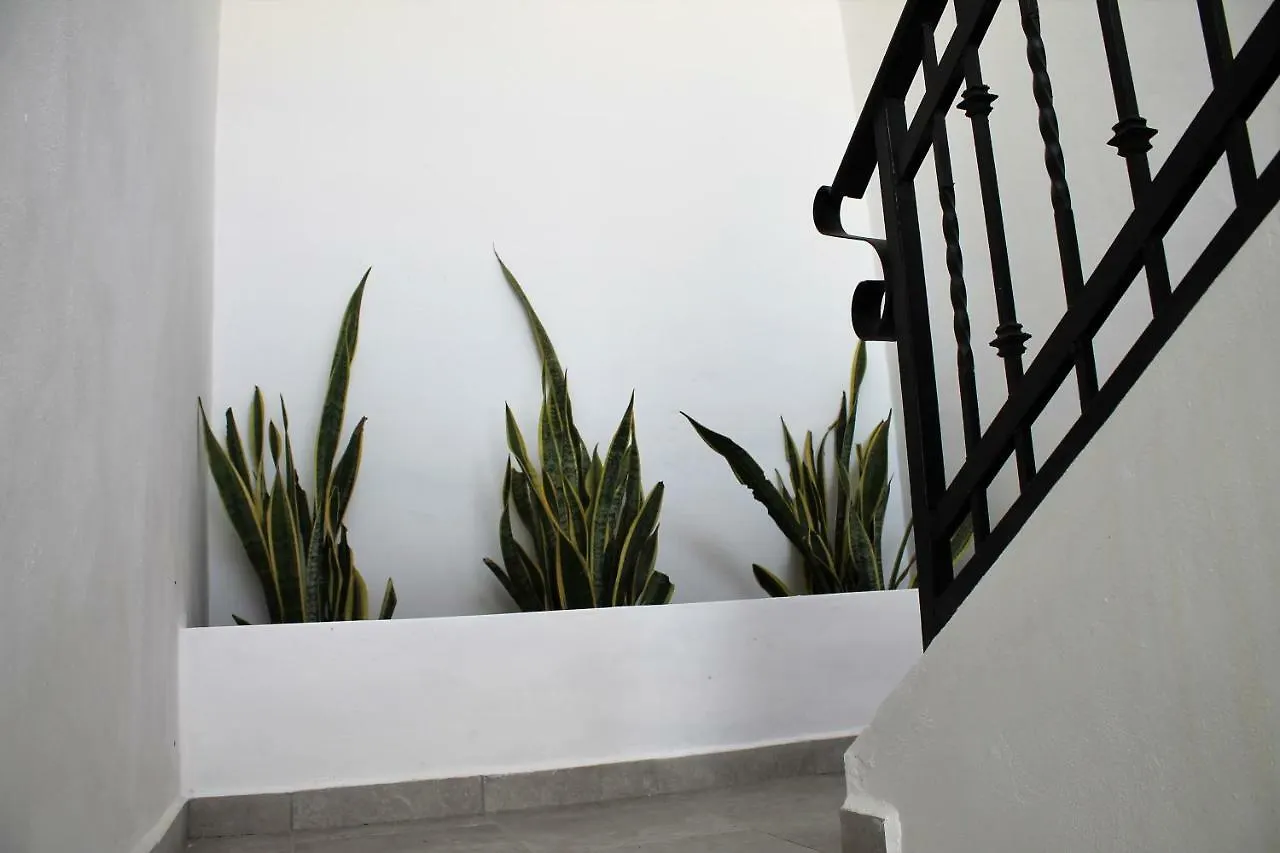 Villa Alebrije Cozumel 0*,
