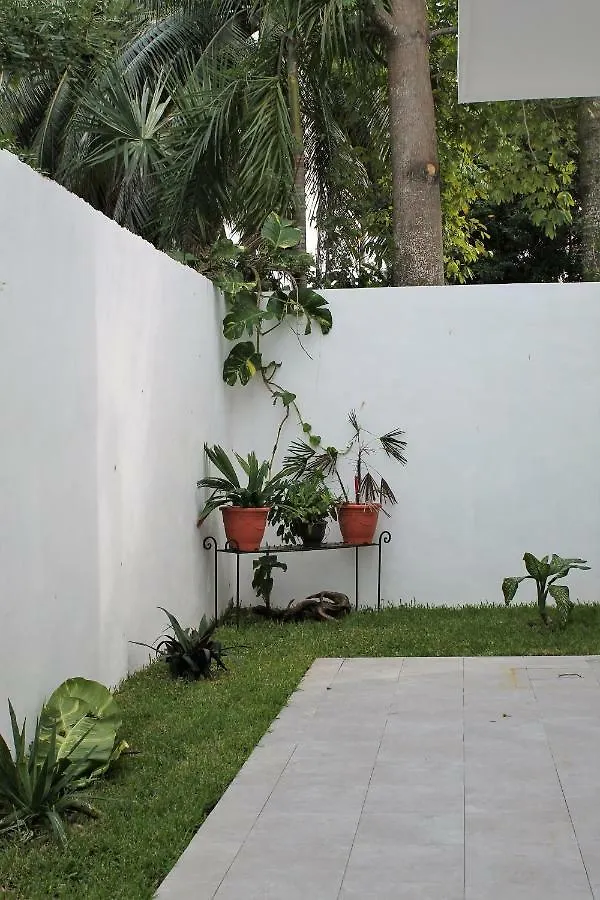 Villa Alebrije Κοζουμέλ Μεξικό