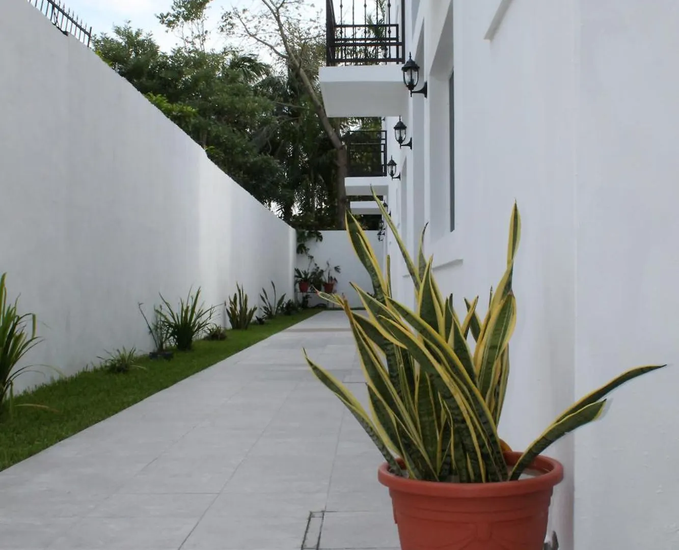 Villa Alebrije Cozumel Apartment