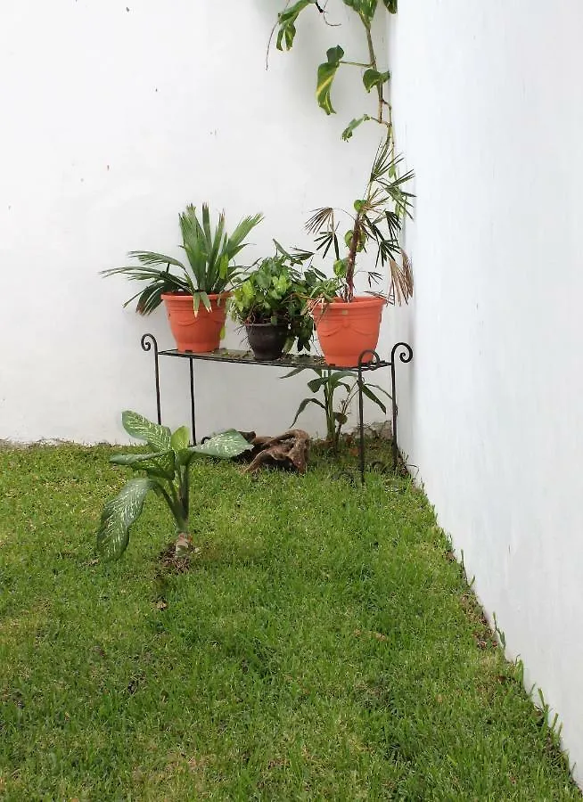 Villa Alebrije Cozumel