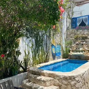 בית הארחה Caribo, קוזומל